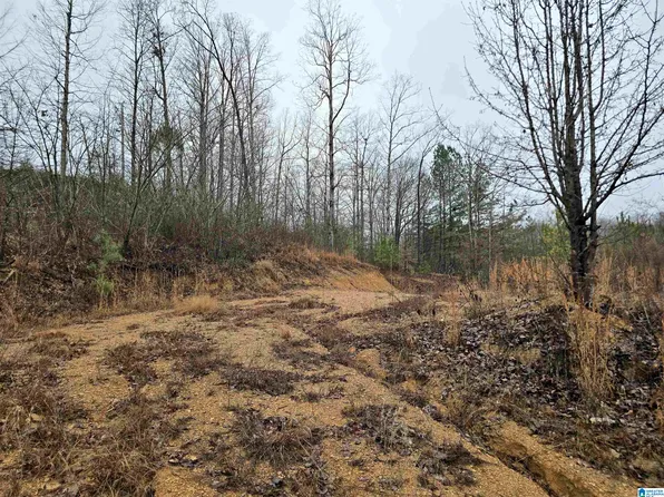 County Road 1516 #0, Cullman, AL 35058