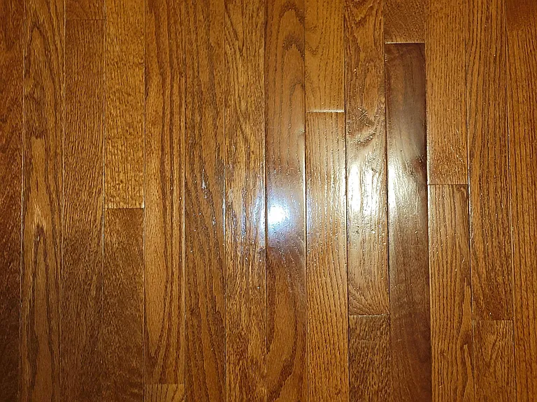 1636 Campfire Dr — Photo 10