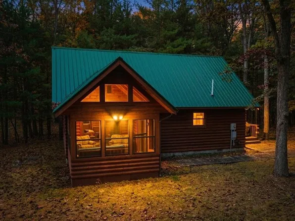 9405 N Bass Lake Rd, Irons, MI 49644