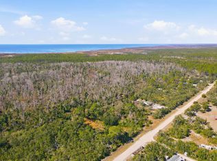 16539 W Royal Oak Dr, Perry, FL 32348