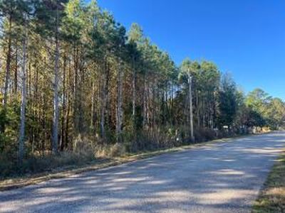 (Undisclosed Address), Atkins, AR, 72823