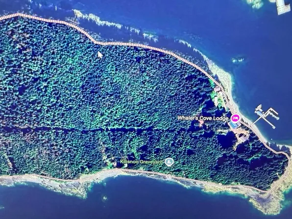 LOT N6 Killisnoo Rd, Angoon, AK 99820