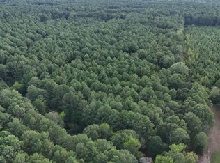 13 Highway, Morton, MS 39117