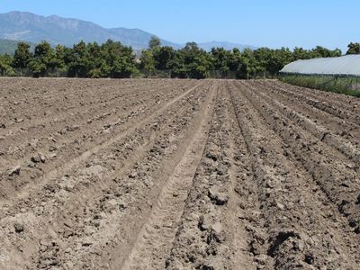 13717 W Telegraph Rd, Santa Paula, CA, 93060