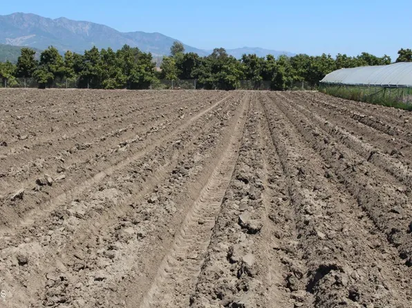 13717 W Telegraph Rd, Santa Paula, CA 93060