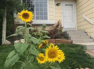 417 Chelsea St, Castle Rock, CO 80104