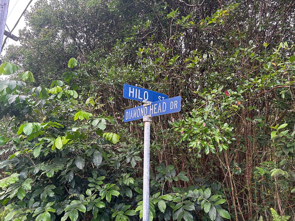 1st image of Hilo St Lot 561