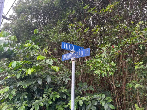 Hilo St Lot 561, Pahoa, HI 96778