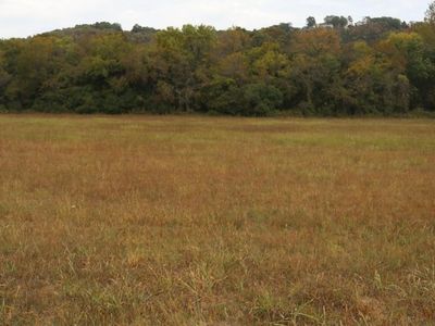 106 S Riverview Ln, Mountain View, AR, 72560