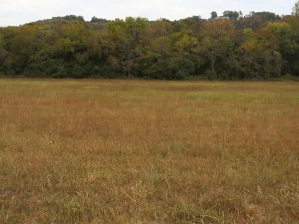 106 S Riverview Ln, Mountain View, AR 72560