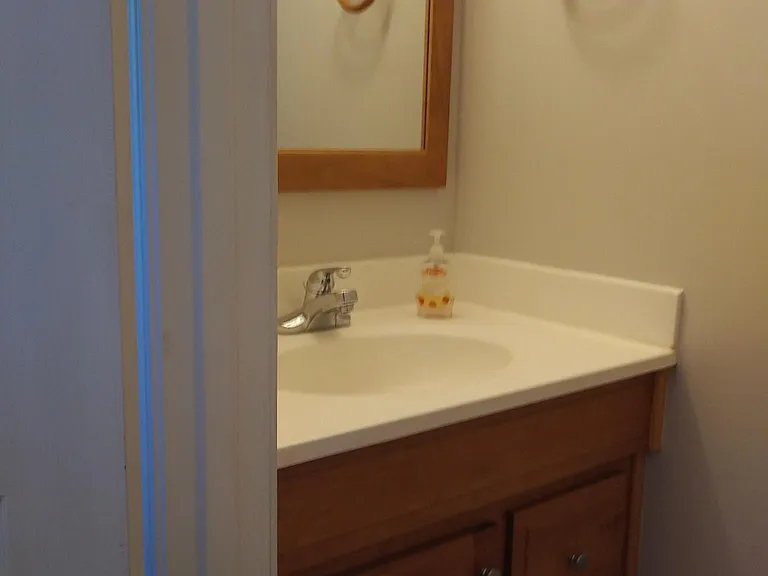 2711 Woodwalk Ct — Photo 4
