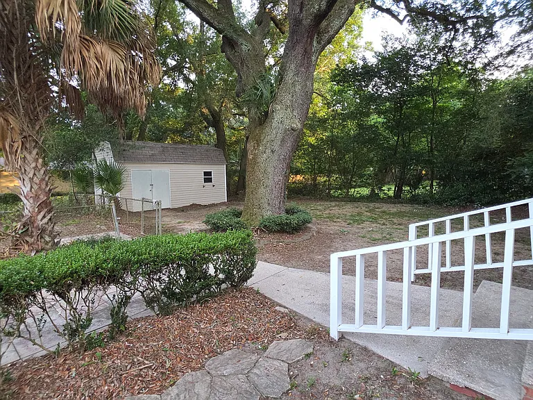back yard