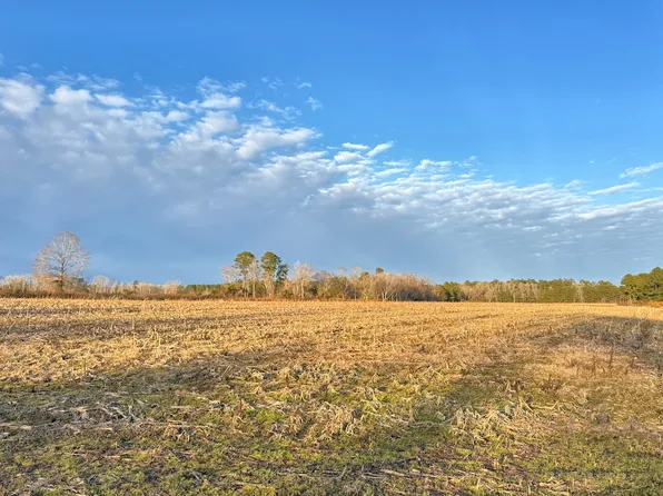King Rd Lot Wp006, Johnsonville, SC 29555