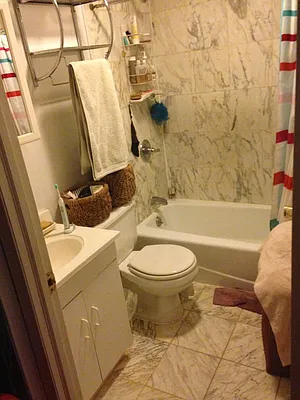 Rented by J Misrahi Realty Corp | media 29