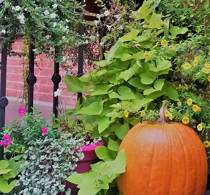 Rented by R New York | media 8