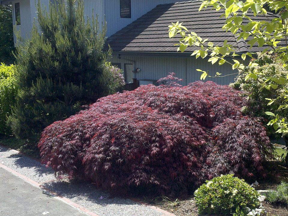 2nd image of 3823 S 255th Pl