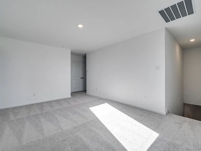3145 Burmese St — Photo 11