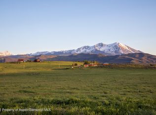 790 Green Meadow Dr, El Jebel, CO 81623