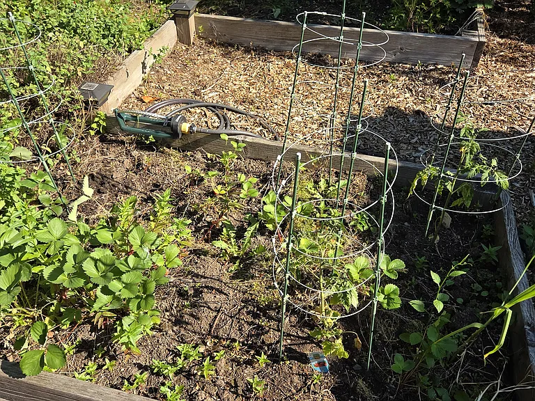 Front yard gardening boxes