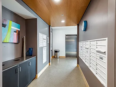 1 Bed, 1 Bath - A1 306 - Zest