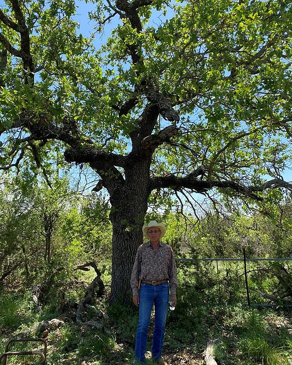 Highway 70, Blackwell, TX 79506 Zillow