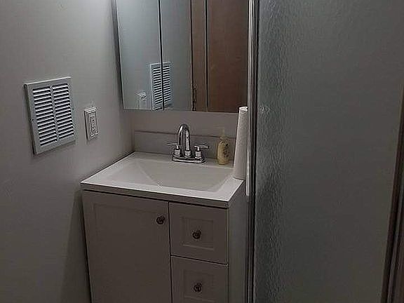 Lower Level Bathroom