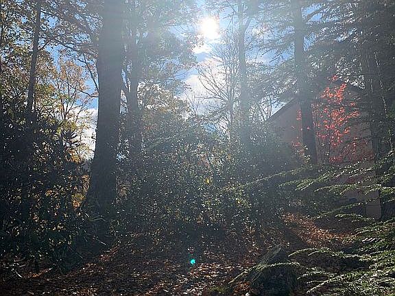 4th image of 1443 Sugar Mountain Dr #D22