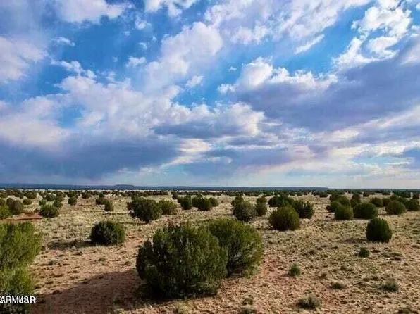 River Meadows Ranch Lot 213 -- #213, Concho, AZ 85924