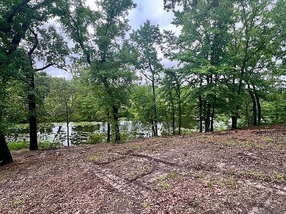 5th image of 7721 County Road 4801
