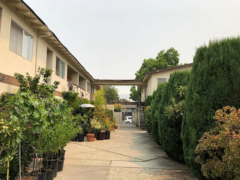 445 Acalanes Dr — Photo 12