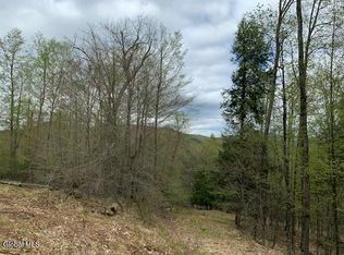 L4 Alder Brook Rd, Brant Lake, NY 12815