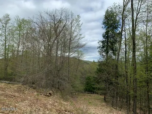 L4 Alder Brook Road, Horicon, NY 12815