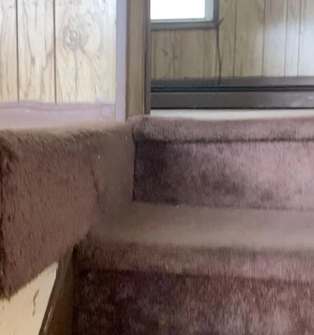 206 S Mill St — Photo 4