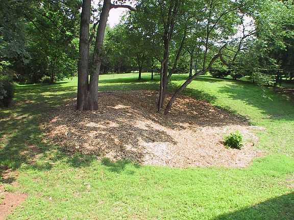 Rear Yard looking from House