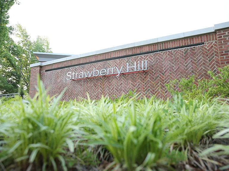 Strawberry Hill — Photo 21