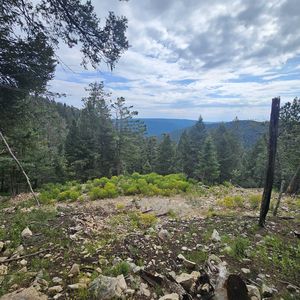 LOT 31 Clear Nite Rd #31, Cloudcroft, NM, 88317