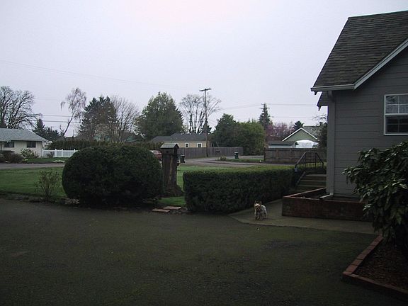 View of yard looking toward Echo Ln & Hunsaker 