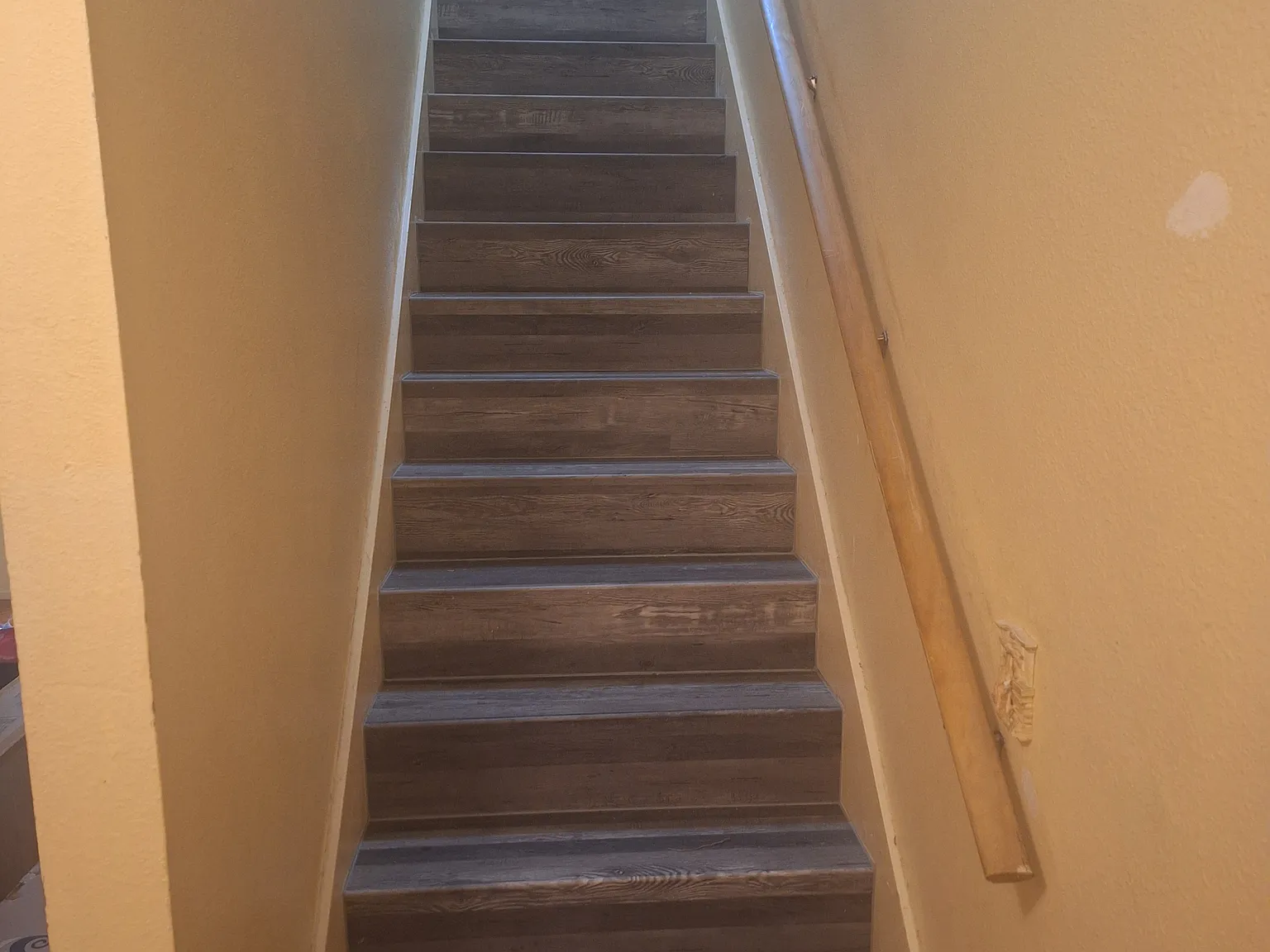 4442 Ribblesdale Ln — Photo 4