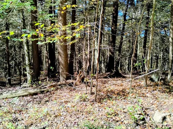 LOT 24 Cavanaugh Rd, Dushore, PA 18614