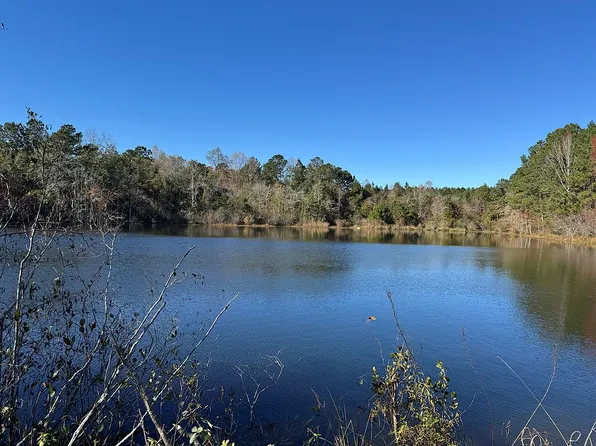 0 Cooper Rd, Pelham, GA 31779