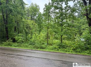 Scott Rd #56, Frewsburg, NY 14738