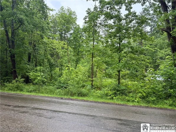 Scott Rd #56, Frewsburg, NY 14738