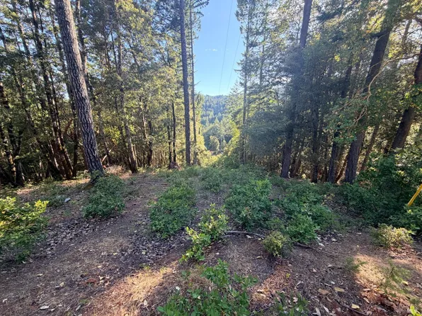 24193 Willow Lane, Willits, CA 95490