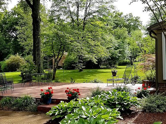 Backyard view