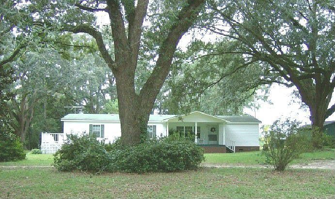 Miller's Crossroads live oaks