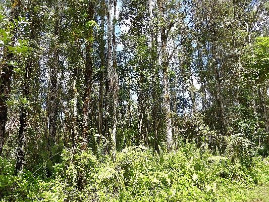 1st image of 14-3551 Hilo Ln #255