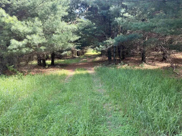 Lot 3 BENTLEY ROAD Parcel # 032-25-0918, Custer, WI 54423