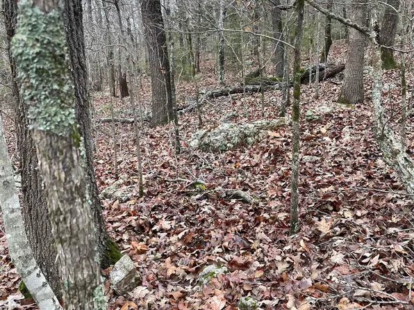 001-07783-000 White River Dr, Mountain Home, AR 72653