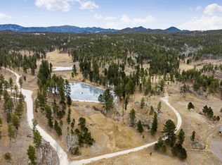 12355 Star Valley Dr, Custer, SD 57730