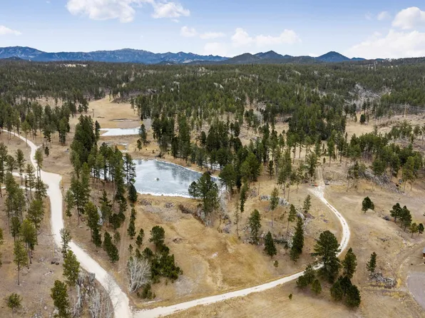 12355 Star Valley Dr, Custer, SD 57730